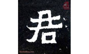 君