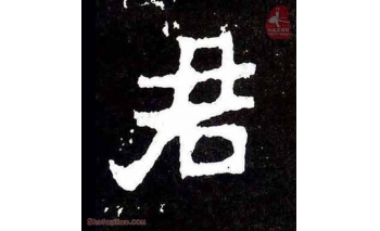 君