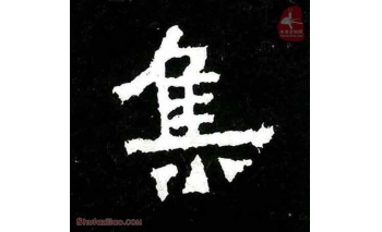 集