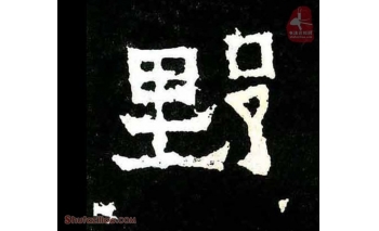 野