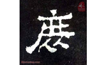 庶