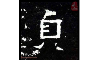 贞