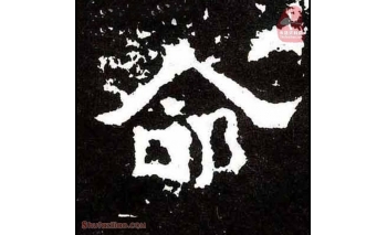 命