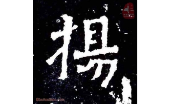 杨