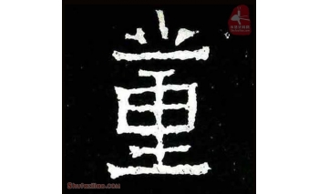 董