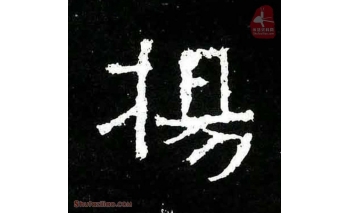 杨