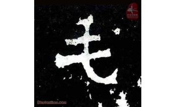 毛