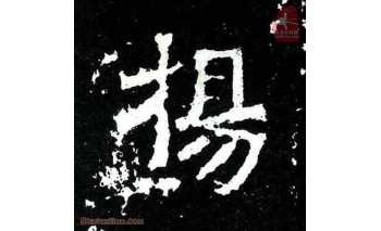 杨