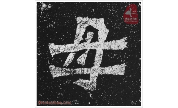 母