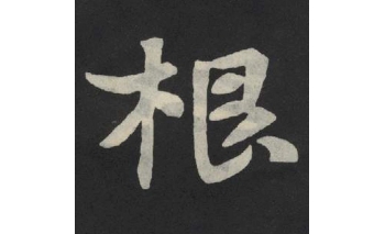 根