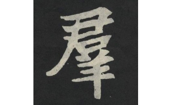 群