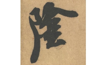 阴