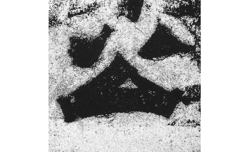 公