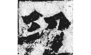 功