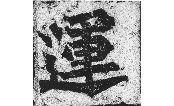 运