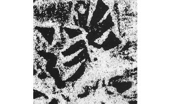 遂