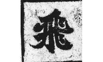 飞