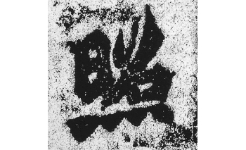照