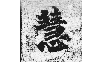 慧