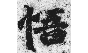 悟