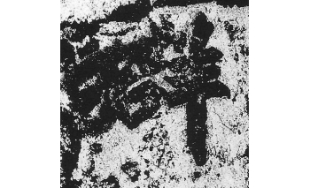 群