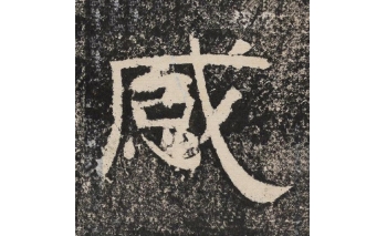 感