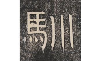 驯