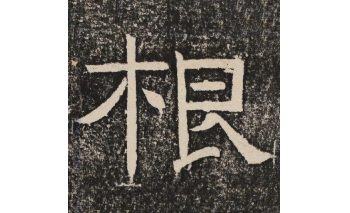 根