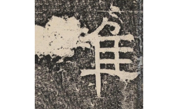 雌