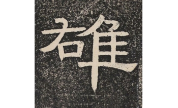 雄