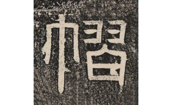 褶