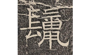 鬣