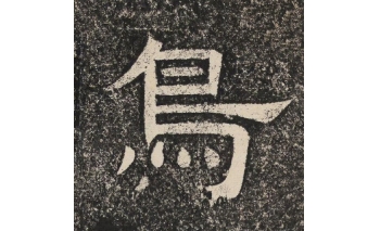 鸟