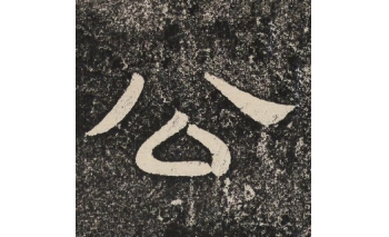 公