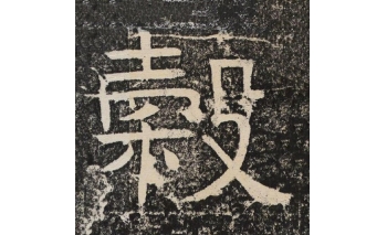 毂