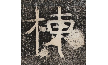 栋