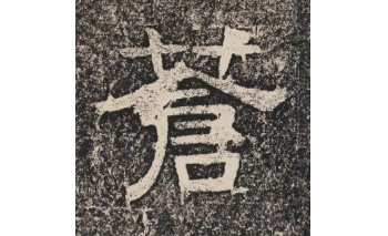 苍