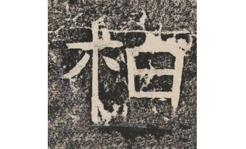 柏