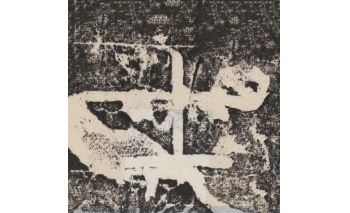 士