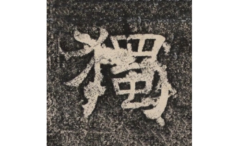 独