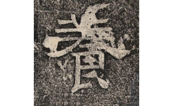 养