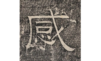 感