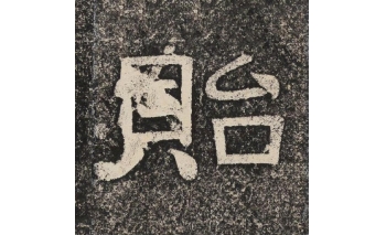 贻