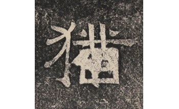 犹
