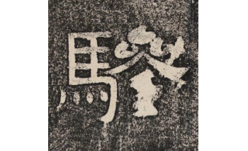 骖