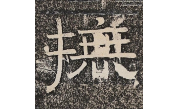 抚