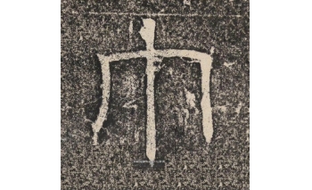 巾