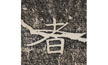 者
