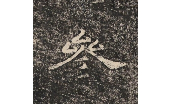 参
