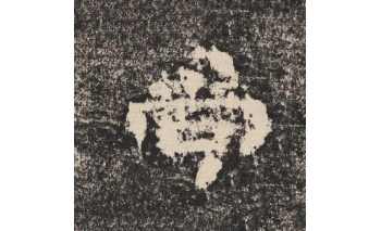 尚